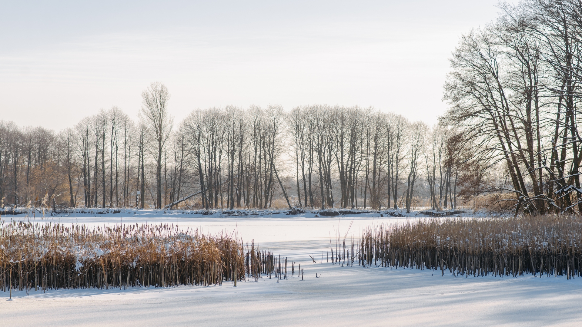 Nimetu kujundus (29)