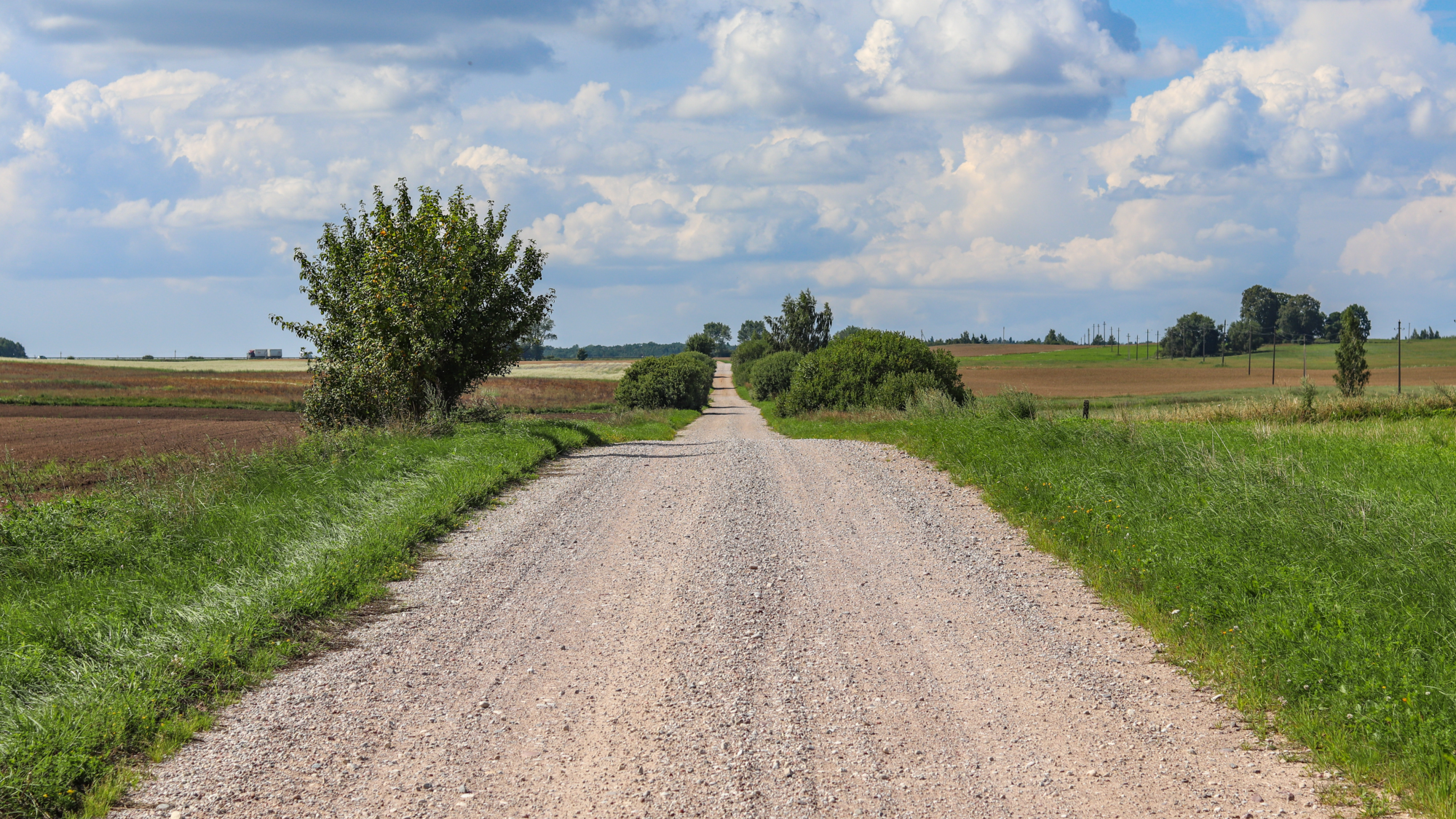 Nimetu kujundus (11)