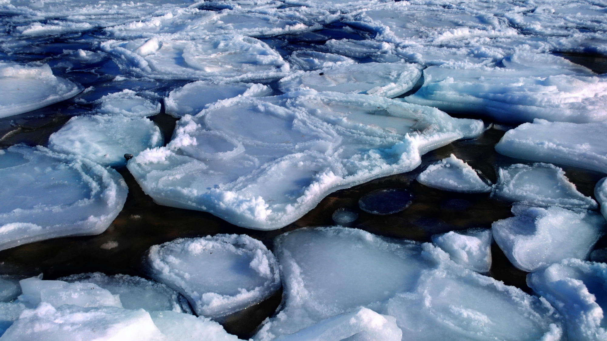 Nimetu kujundus (12)